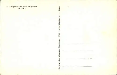 Ak Regimes de noix de palme, Enfants