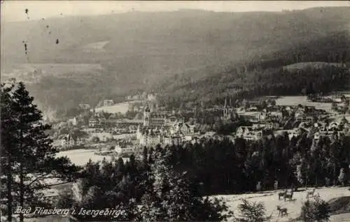 Ak Świeradów Zdrój Bad Flinsberg Schlesien, Isergebirge, Panorama vom Ort