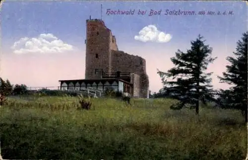 Ak Hochwald bei Boguszów Gottesberg Schlesien, Burgruine, Aussichtsturm