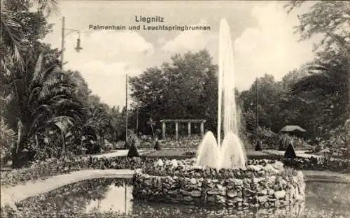 Ak Legnica Liegnitz Schlesien, Palmenhain und Leuchtspringbrunnen