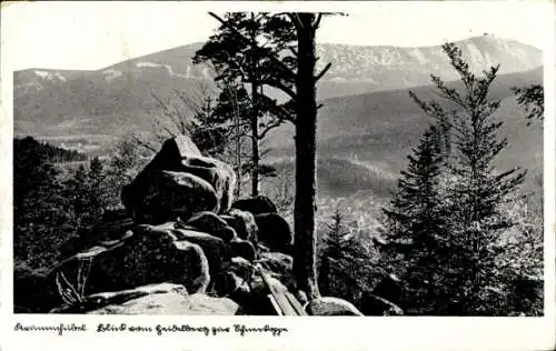 Ak Karpacz Górny Brückenberg Krummhübel Riesengebirge Schlesien, Blick vom Berg zur Schneekoppe