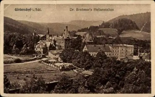 Ak Sokołowsko Görbersdorf Schlesien, Dr. Brehmer's Heilanstalten