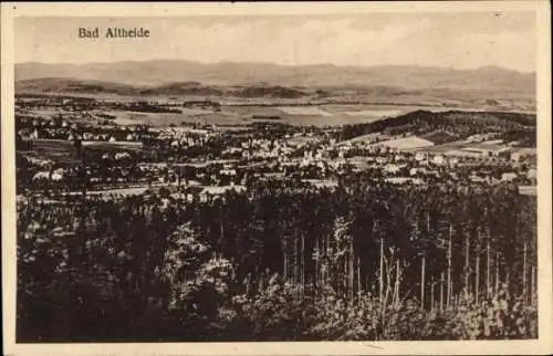 Ak Polanica Zdrój Bad Altheide Schlesien, Panorama