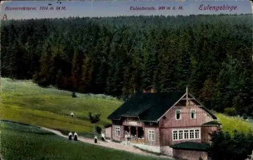 Ak Pieszyce Peterswaldau Schlesien, Eulenbaude, Bismarckturm