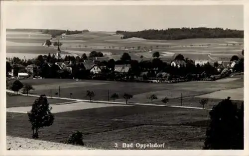 Ak Opolno Zdrój Bad Oppelsdorf Bogatynia Reichenau Schlesien, Panorama