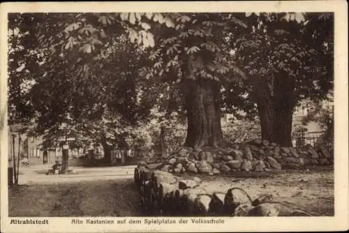 Ak Hamburg Wandsbek Alt-Rahlstedt, Spielplatz der Volksschule, Kastanienbäume