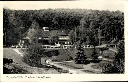 Ak Hitzacker an der Elbe, Kurhotel Waldfrieden