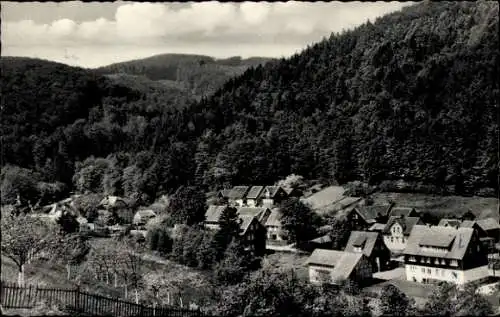 Ak Wieda Walkenried Harz, Ortsansicht