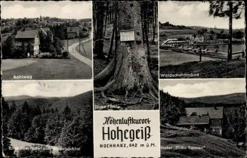 Ak Hohegeiß Braunlage im Oberharz, Waldschwimmbad, Dicke Tanne, Hotel Dicke Tannen, Bohlweg