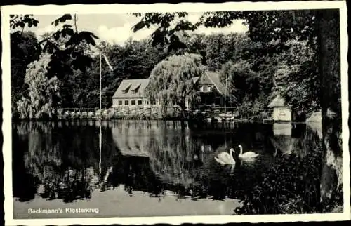 Ak Neukloster Buxtehude im Kreis Stade, Beckmann's Klosterkrug, See, Schwäne