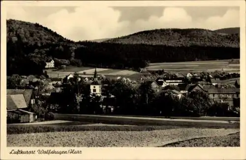 Ak Wolfshagen Langelsheim am Harz, Gesamtansicht