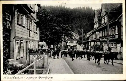 Ak Altenau Clausthal Zellerfeld im Oberharz, Altenauer Damenkapelle, Kühe