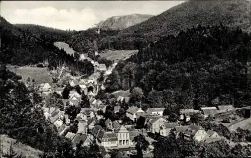 Ak Bad Grund im Harz, Gesamtansicht