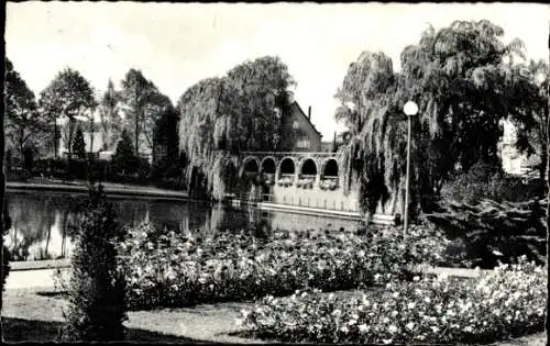 Ak Uetersen in Holstein, Rosarium