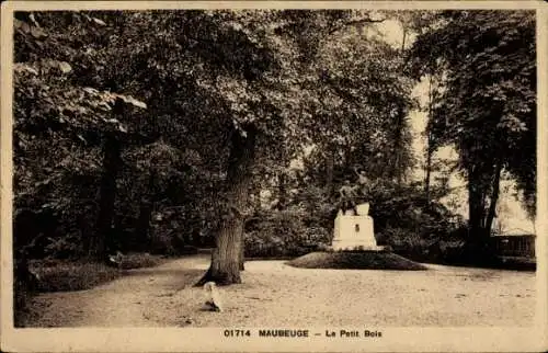 Ak Maubeuge Nord, Le Petit Bois