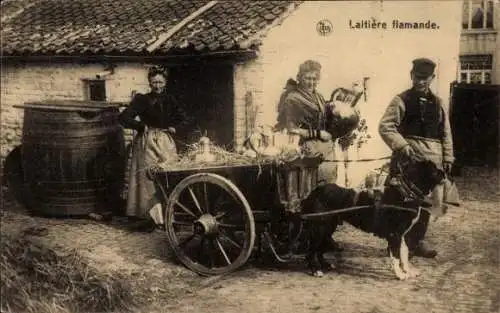 Ak Flämisches Milchmädchen, Zughund, Hundekarren