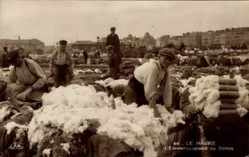 Ak Le Havre Seine Maritime, L'Echantillonnage du Coton