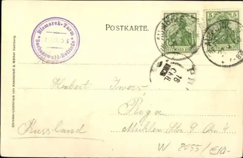 Ak Sachsenwald Hofriede Aumühle in Lauenburg, Teilansicht, Bismarckturm