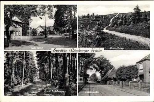 Ak Sprötze Buchholz in der Nordheide, Ortsmitte, Brunsberg, Forst Lohbergen, Dorfstraße