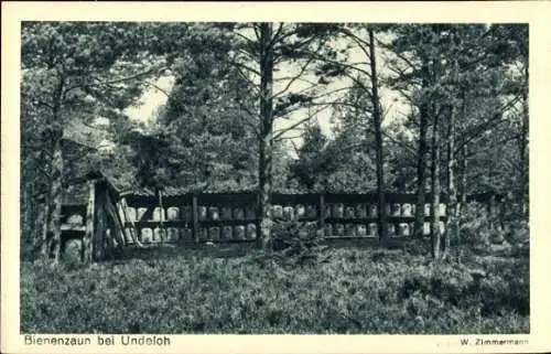 Ak Undeloh in der Nordheide, Bienenzaun