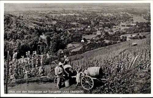 Ak Tiergarten Oberkirch in Baden, Blick von den Rebbergen, Winzer