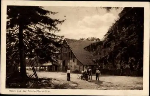 Ak Senne Bielefeld in Nordrhein Westfalen, Motiv aus der Senne Staumühle