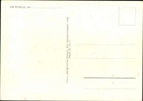 Ak Estenfeld in Unterfranken, Teilansicht, Denkmal, Kirche, Schulhaus, Pfarrhaus