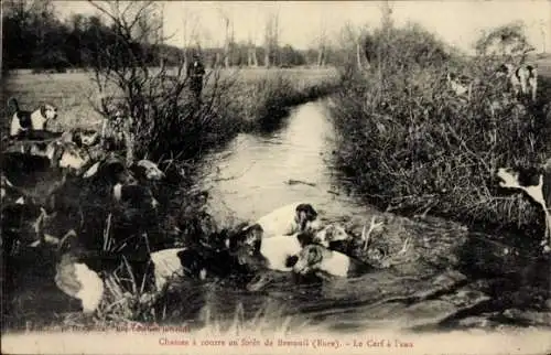 Ak Breteuil Eure, Foret, Le Cerf a l’eau