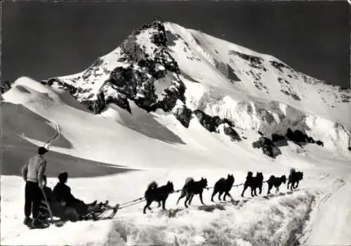 Ak Kanton Bern, Polarhunde mit Mönch