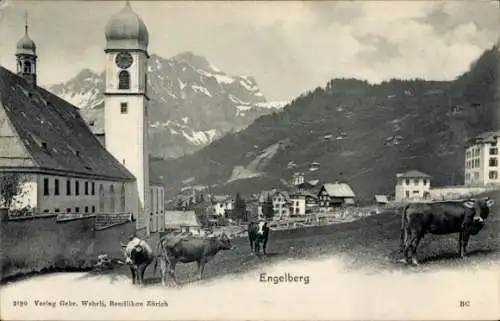 Ak Engelberg Kanton Obwalden Schweiz, Teilansicht, Kirche, Kühe