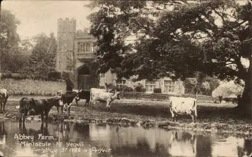 Ak Montacute Somerset England, Abbey Farm