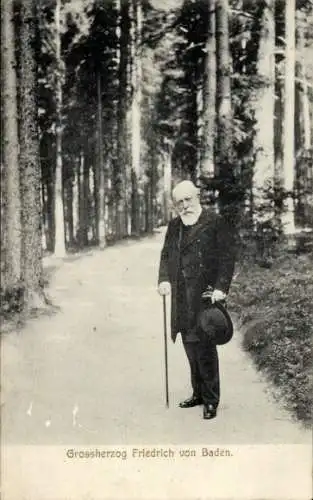 Ak Großherzog Friedrich von Baden, Standportrait, Waldweg