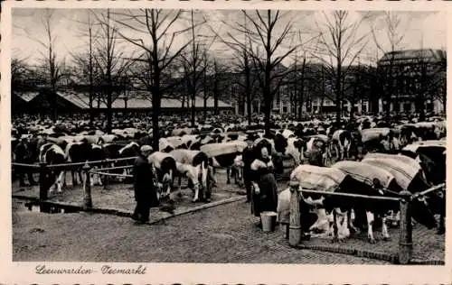 Ak Leeuwarden Friesland Niederlande, Viehmarkt, Rinder