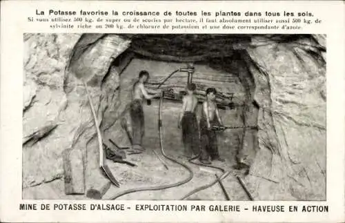 Ak Mine de Potasse d'Alsace, Exploitation par Galerie, Haveuse en Action, Bergleute im Stollen