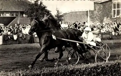 Foto Ak Pferderennsport, Trabrennen, Zuschauer