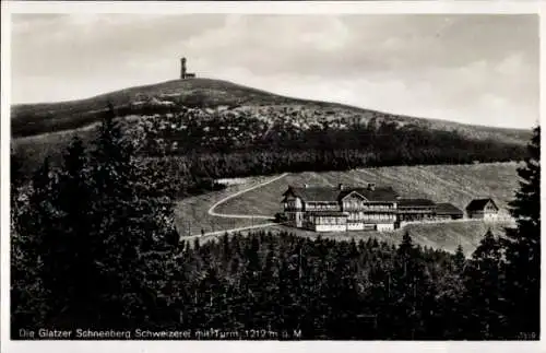 Ak Międzygórze Wölfelsgrund Schlesien, Glatzer Schneeberg, Schweizerei, Turm