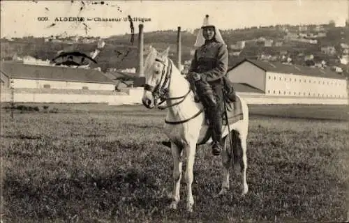 Algerischer Ak, afrikanischer Jäger