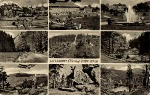 Ak Oberhof im Thüringer Wald, Wasserspiel, Sprungschanze, Teilansichten, Rehe