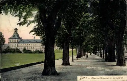 Ak Bonn am Rhein, Hofgarten, Allee, Universität