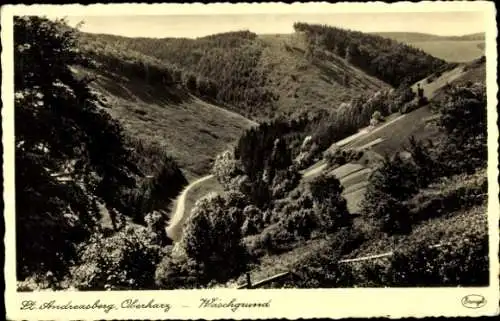 Ak Sankt Andreasberg Braunlage im Oberharz, Waschgrund