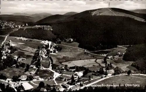 Ak Hahnenklee Bockswiese Goslar im Harz, Panorama