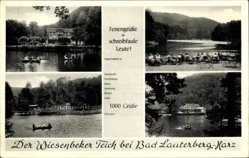 Ak Bad Lauterberg im Harz, Wiesenbeker Teich, Gasthaus, Terrasse
