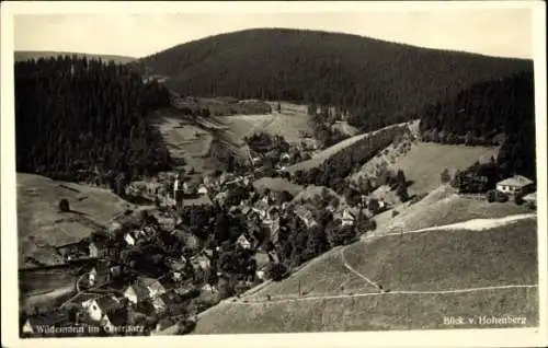 Ak Wildemann Clausthal Zellerfeld im Oberharz, Blick vom Hohenberg, Panorama