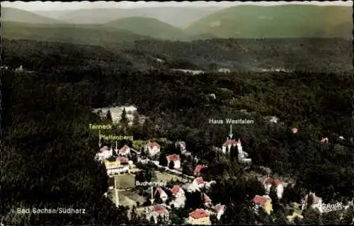 Ak Bad Sachsa im Harz, Gesamtansicht, Tanneck, Pfaffenberg, Buchenried, Haus Westfalen
