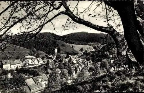 Ak Wildemann Clausthal Zellerfeld im Oberharz, Gesamtansicht