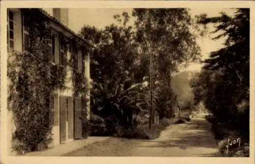 Ak Île de Porquerolles Îles d'Hyères Var, Straße, die zum Argent-Strand führt