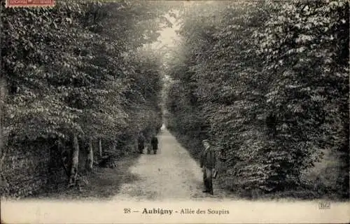 Ak Aubigny sur Nère Cher, Allee des Soupirs