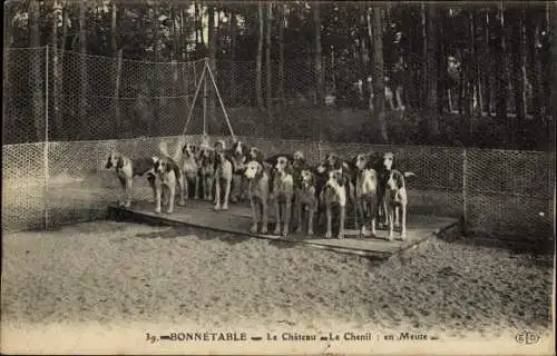 Ak Bonnétable Sarthe, Le Chateau, Le Chenil, en Meute