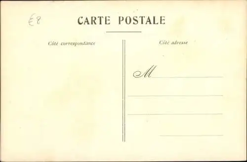 Ak Espèces Canines, Race chiens d'arret Anglais, Setters Irlandais