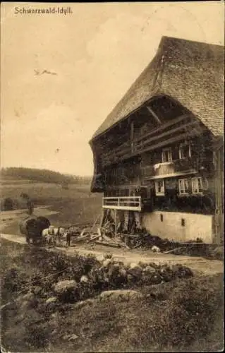 Ak Schwarzwald-Idyll, Schwarzwälder Haus